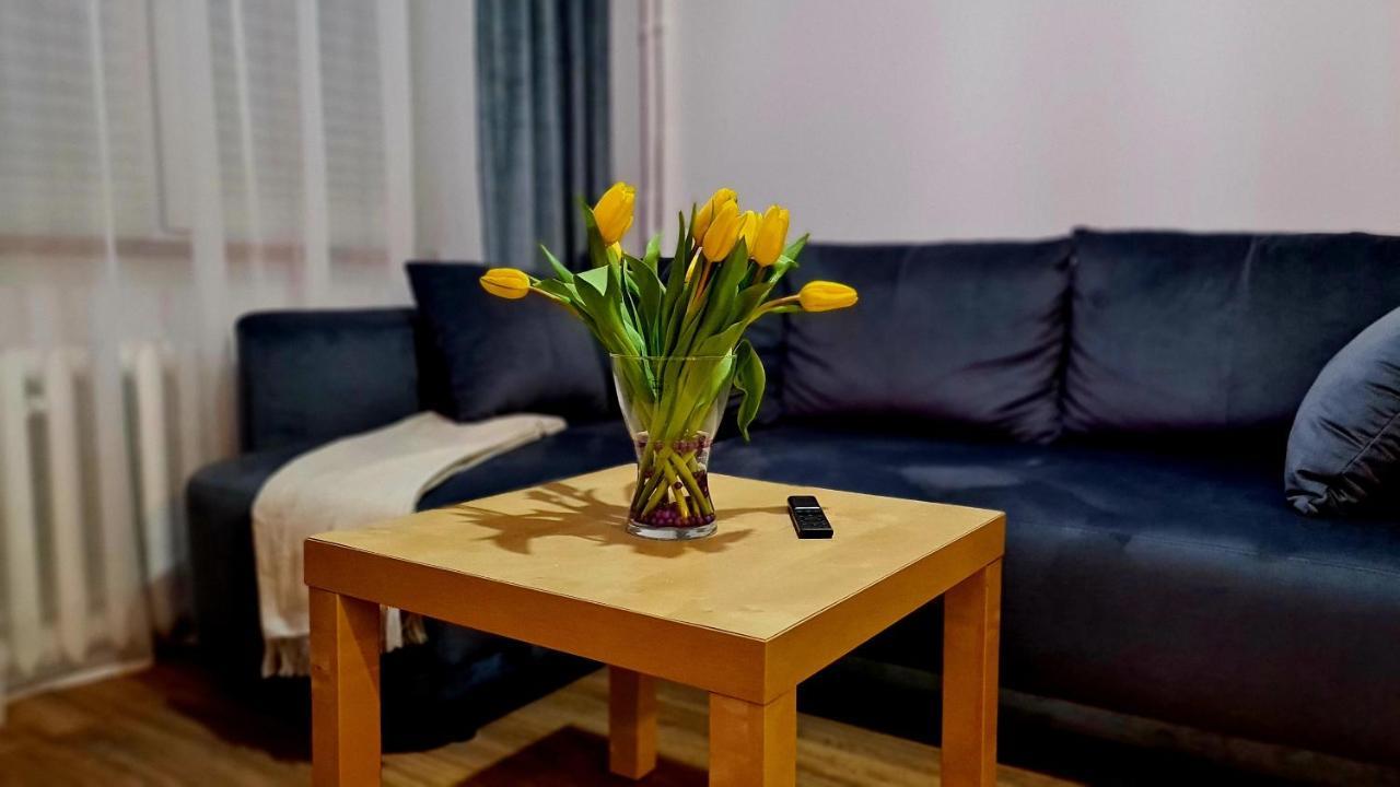 Apartament Boho Apartment *